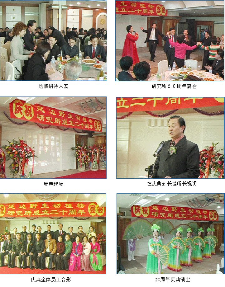 二十周年.jpg
