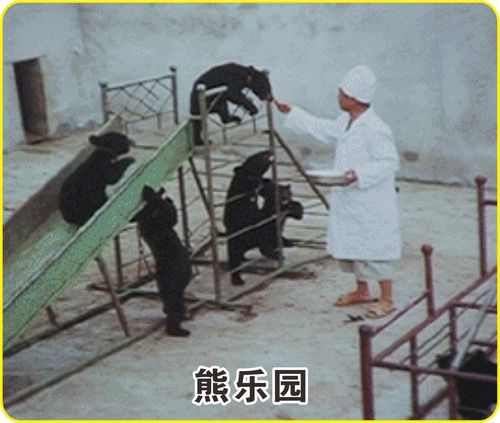 工厂简介 03.jpg