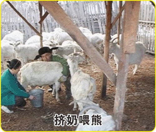 工厂简介 05.jpg
