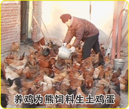 工厂简介 06.jpg