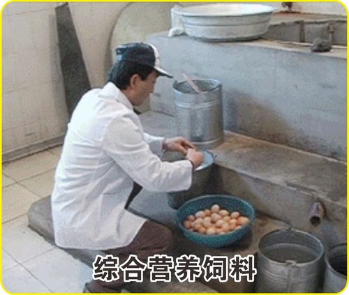 工厂简介 09.jpg