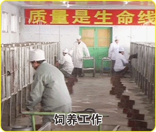 工厂简介 11.jpg