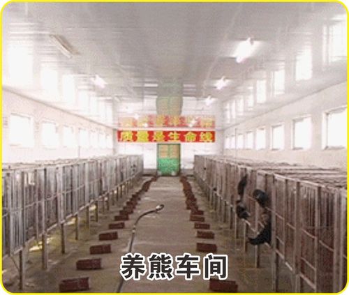 工厂简介 10.jpg