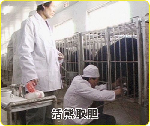 工厂简介 12.jpg